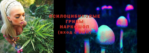 таблы Белокуриха