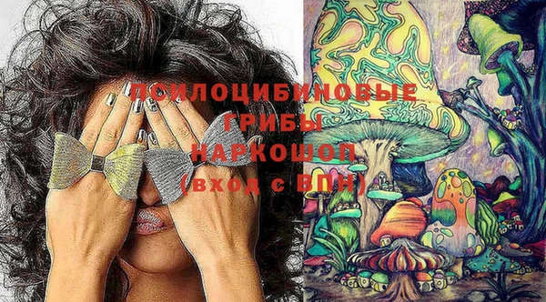 таблы Белокуриха